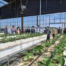 희망농장2 이미지