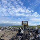 화산부화장 | 갈라파고스 틴토레라스 투어 솔직 후기 (이사벨라섬 필수 투어)