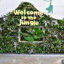 남해-276 | [여행] 연휴 방문객 276% 폭증! 거제식물원 정글돔, 사계절 푸른 힐링 명소