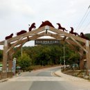 정남진 편백숲 우드랜드 이미지