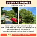 솔바람 유아숲체험원 이미지
