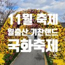 광주 전남 11월 가을 꽃 축제 여행지 추천 월출산 기찬랜드 국화축제 주차 입장료 식당 후기