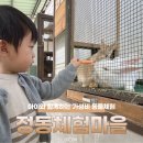 정동농장 | 세종 아이랑 가볼만한 곳 | 정동체험마을, 27개월 아기와 가성비 동물체험