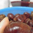 외서농장 이미지