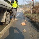 지방도101호 이미지