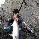 조가물민박 이미지