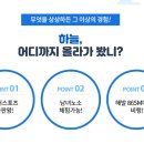 서울패러글라이딩 네이버블로그