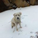 이가농장 이미지