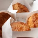 갬성스콘