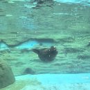 아리랑갈비 구리점 | [2월모임zip] 가로 막히면 세로 시작하면 돼 🫧