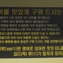 일루장어 이미지