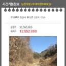 신암2리(가성)경로당 | 경북 김천시 봉산면 임야 / 김천지원 2018-6999(1)