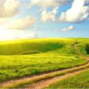 매니아당구세상 이미지