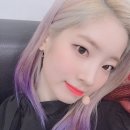 하고픈헤어 하고픈대로