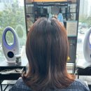 실용헤어컷&실무반 | [수원미용실 카미야헤어] “답답한 중단발에서 세련된 테슬컷으로 산뜻하게 변신 ✂️”