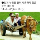 (주)에이치엘비트레이딩