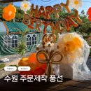 버블랜드 | 수원 주문제작 용돈풍선 환갑 기념일 이벤트 버블랜드 후기