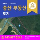 홍천염소농장 이미지