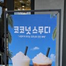 죽림해안로 | 통영죽림 크르르 카페 신메뉴 코코넛스무디 후기