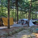 추동캠프 이미지