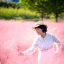 10/7(수) 미사경정공원 "핑크물리" 출사 #1 이미지