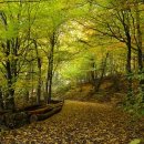 경북종합자동차정비 이미지