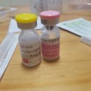 에프엠3차 이미지