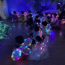 숲속반디 이미지