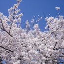 경산진량밧데리할인점