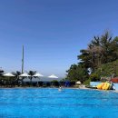 카우스톨 이미지