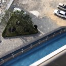 벨메르 바이 한화호텔앤드리조트 이미지