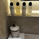 스테이 시래 이미지