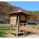 초전고택