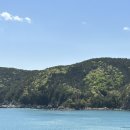 지안FOREST 이미지