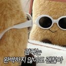 카페벚꽃길 네이버블로그