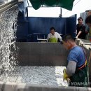 기선권현망수산업협동조합(멸치권현망수협) 이미지