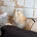 부산 전포동 숨은 카페 : 팟오브부산 솔직 후기 (위치/메뉴/분위기)