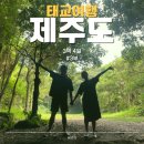 그랜드하얏트제주 | 제주도 / #3 8개월차 임산부와 스타벅스, 하리보 해피월드, 이재모 피자 그리고 그랜드 하얏트 제주 후기