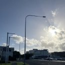 11650-17-194-5 | Aus+189~194일차 : 케언즈 6박 7일/그레이트 배리어 리프, 쿠란다, 포트 더글라스, 영가바라, 라군