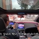페티나트립