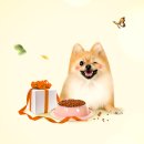 (주)선진펫 네이버블로그