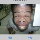 머리에딴짓하는날
