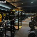 타이거휘트니스 이미지