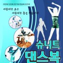 슈니트 이미지
