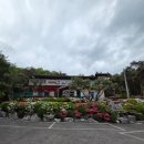 도깨비정원 이미지