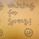 에스타 프리마베라(esta primavera) 네이버블로그