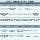 한달간 6.5kg 뺀 다이어트 식단표 (컴여시 권장) + 추가정보 이미지