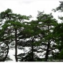 뚜비농장 이미지