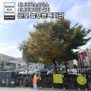 군포시늘푸른노인복지관 | [시니어 놀이터 설치사례 30] 군포시 늘푸른노인복지관 시니어놀이터 (2021년 7월 설치)