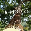 박노은 농장 네이버블로그